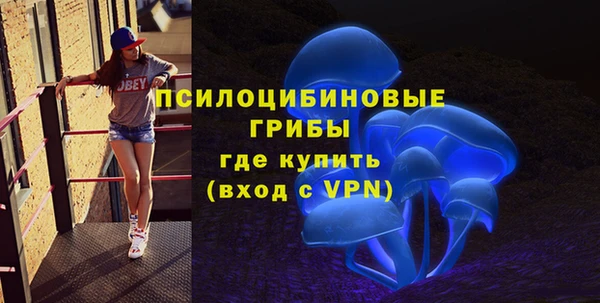 дурь Касимов